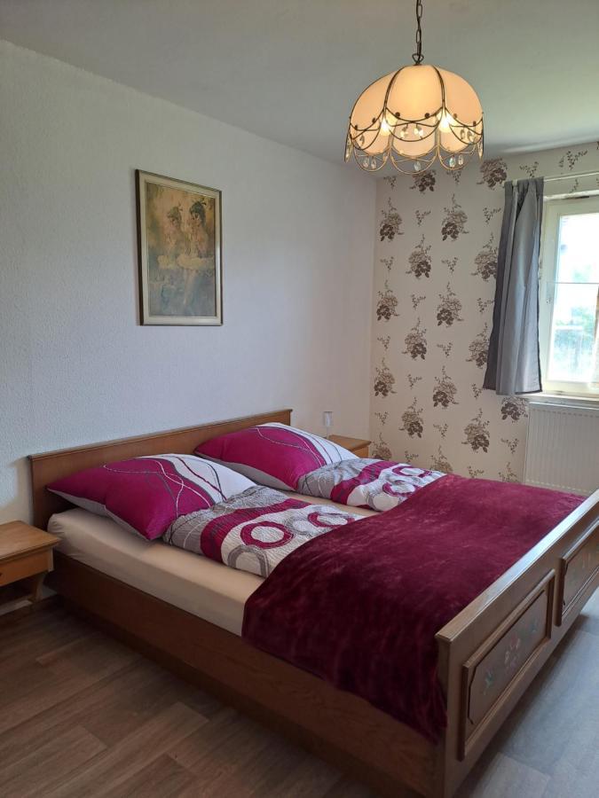 Keller'S Ferienwohnung An Der Saale Schwarzenbach an der Saale Extérieur photo